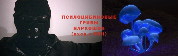 спайс Рославль