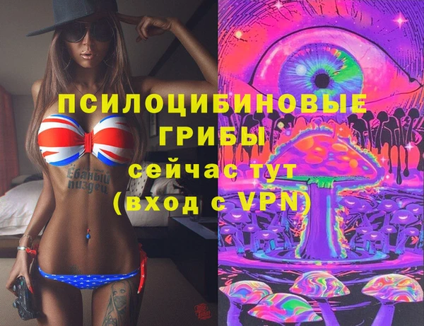 соль ск Верея